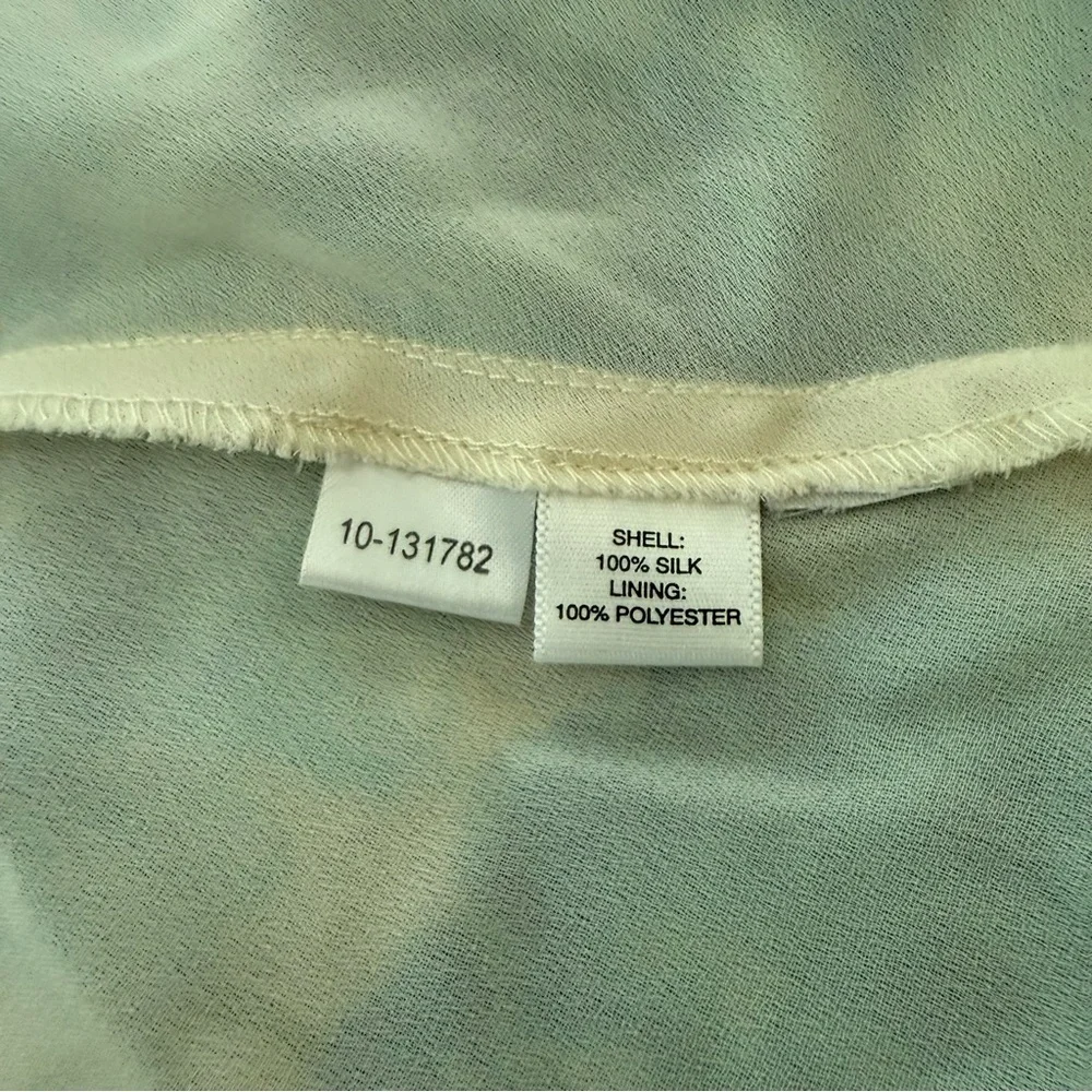 Vintage Ann Taylor Silk Chiffon Silk Slip Dress Size‎ 2 Cowl Neck